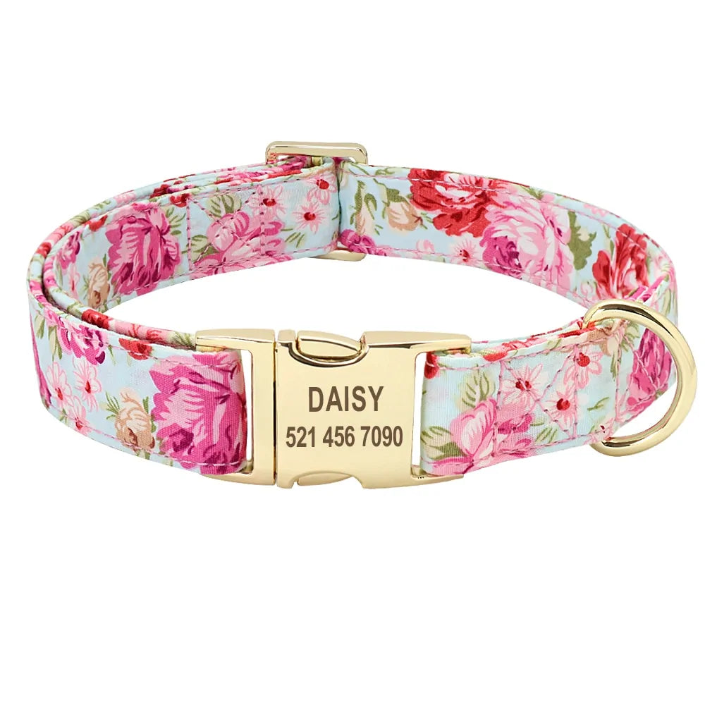 Whisker ID Collar