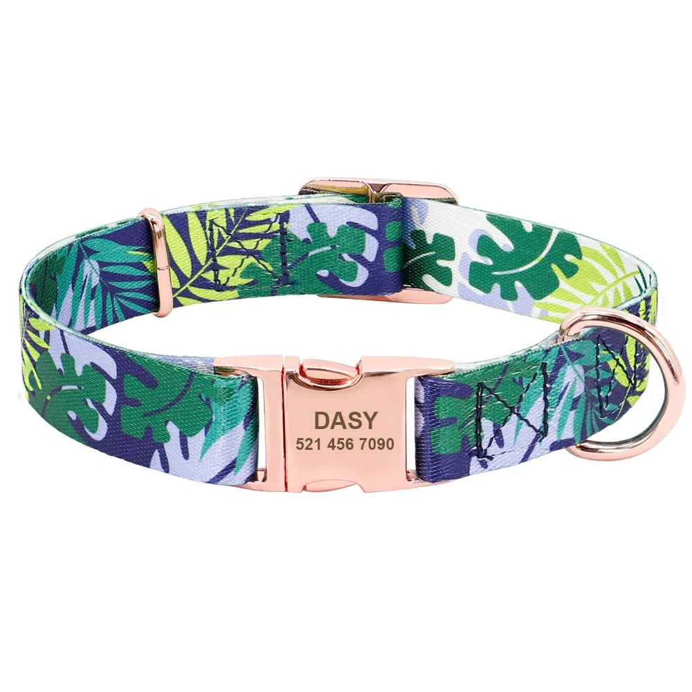 Whisker ID Collar