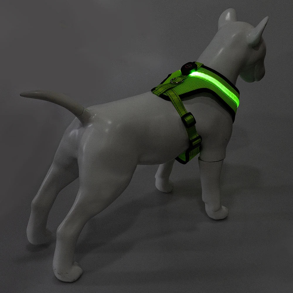 LED Light Dog Harness