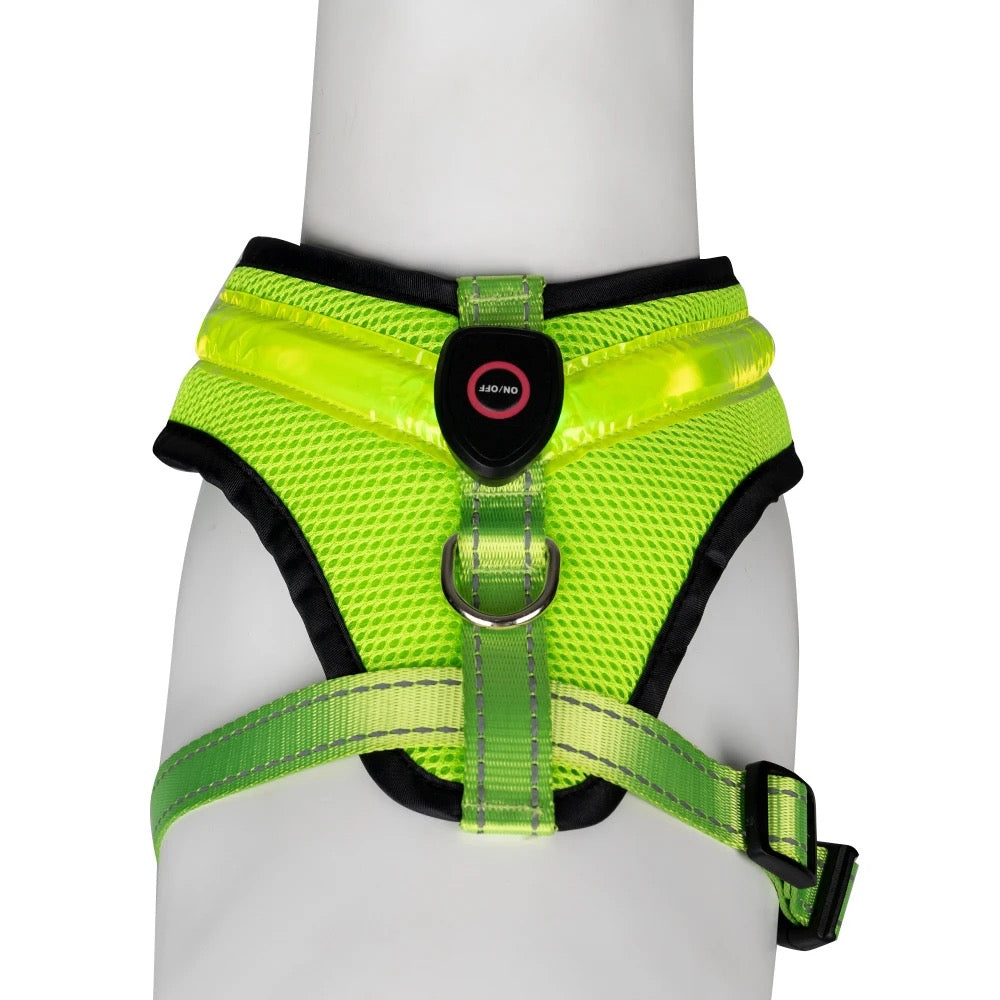LED Light Dog Harness