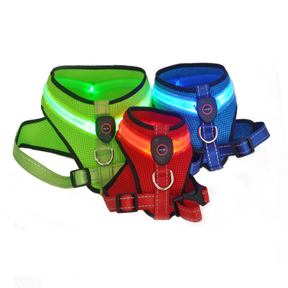 LED Light Dog Harness