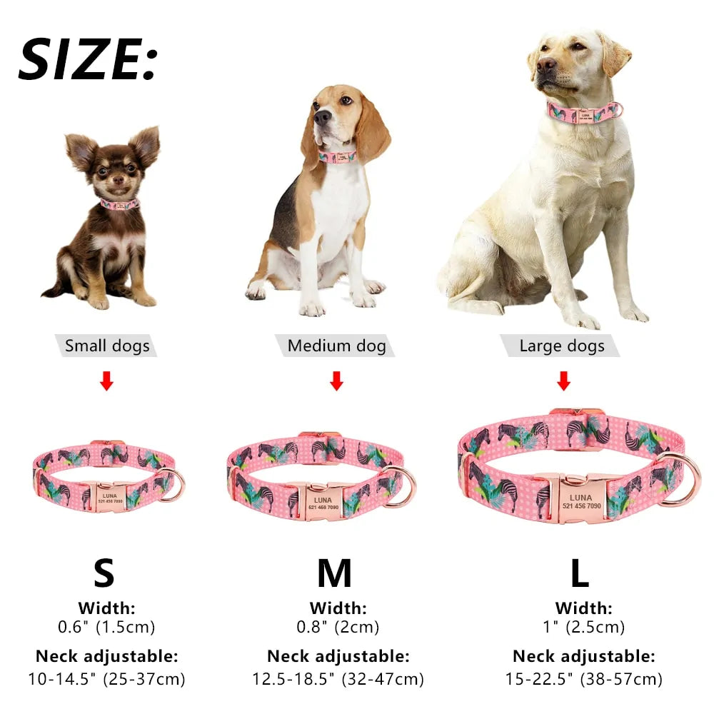 Whisker ID Collar