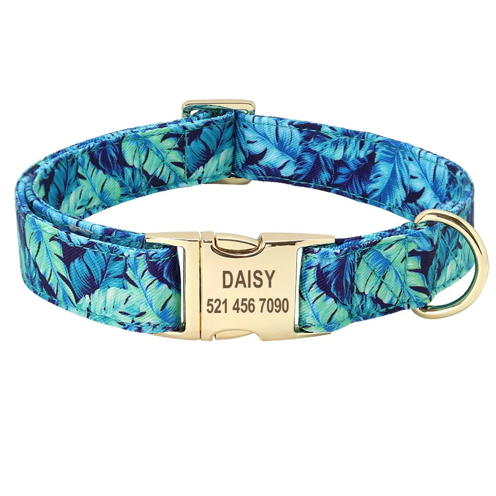 Whisker ID Collar