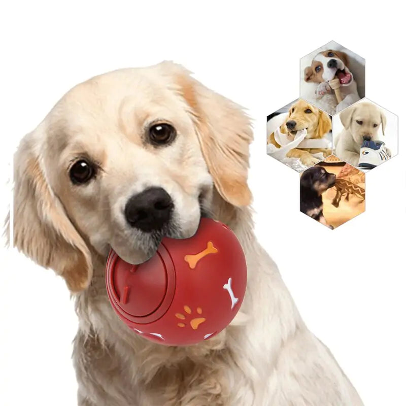 Dog Teeth Cleaning Ball