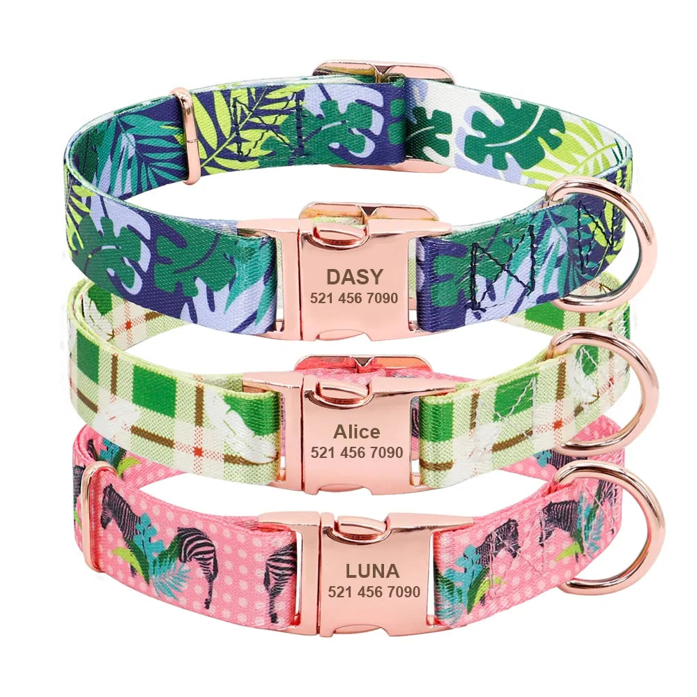 Whisker ID Collar